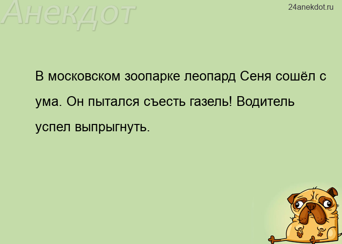 В московском зоопарке леопард Сеня сошёл с ума. Он пытался съесть газель! Водитель успел выпрыгнуть.