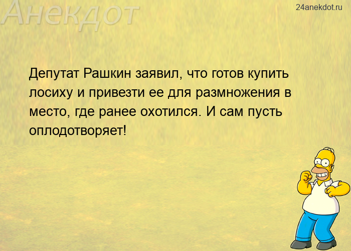 Депутат Рашкин заявил, что готов купить лосиху и привезти ее для размножения в место, где ранее охот
