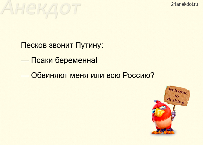 Песков звонит Путину: — Псаки беременна! — Обвиняют меня или всю Россию?